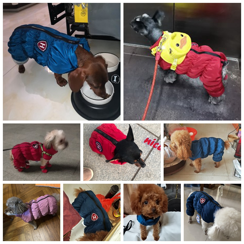 Zipper Snow Unisex Dog Waterpr - Baby Clothing Zipper recension och pris